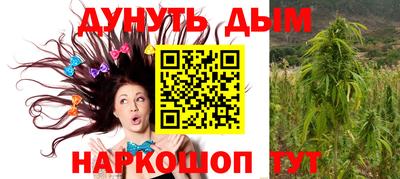 гидра Обнинск