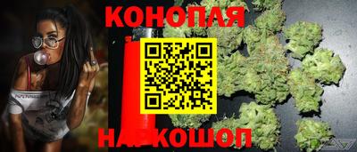МДПВ Обь